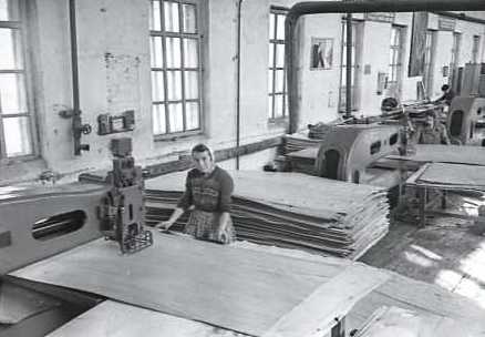 ГАПК. Фотофонд, 0-4485 (1). Океанский фанерный завод. 1972 г. .jpg